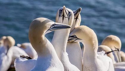 爱游戏官方网站-太阳击败尼克斯，常规赛巅峰对决中杜兰特锁死对手，太阳对尼克斯聚胜顽球汇