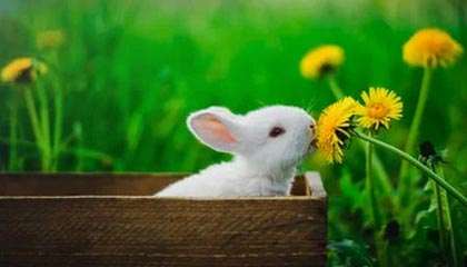 爱游戏中国官方网站平台-关键战役激烈展开，胜负难料谁能胜出？，关键战役第五集