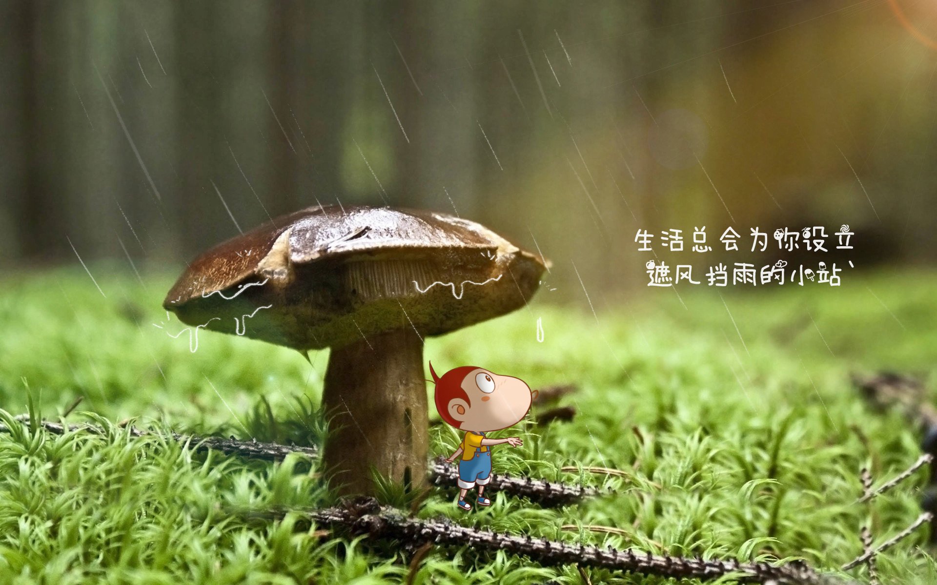 克罗地亚队在巴黎奥运会手球比赛中以36_29击败奥地利队，克罗地亚 队