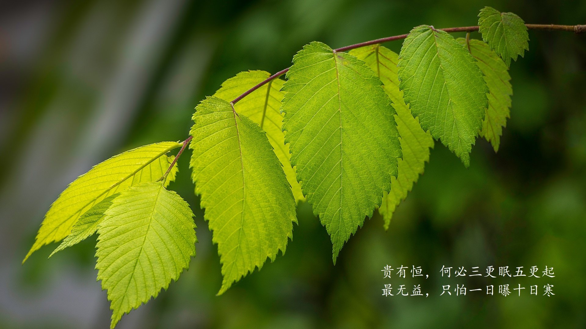 克罗地亚队在巴黎奥运会手球比赛中多次通过中路渗透得分，克罗地亚奥运冠军