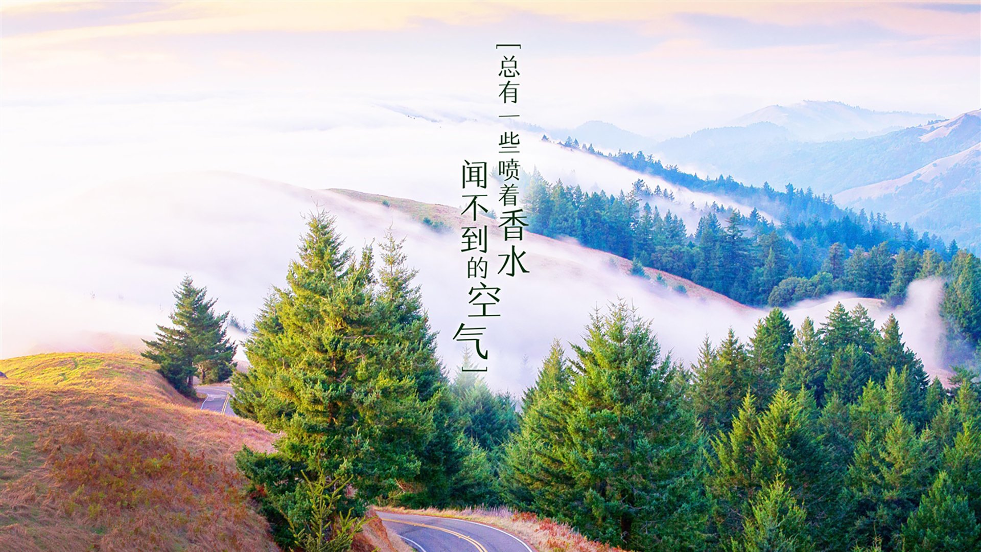 挪威队在足球比赛中展现出色实力，挪威足球联赛