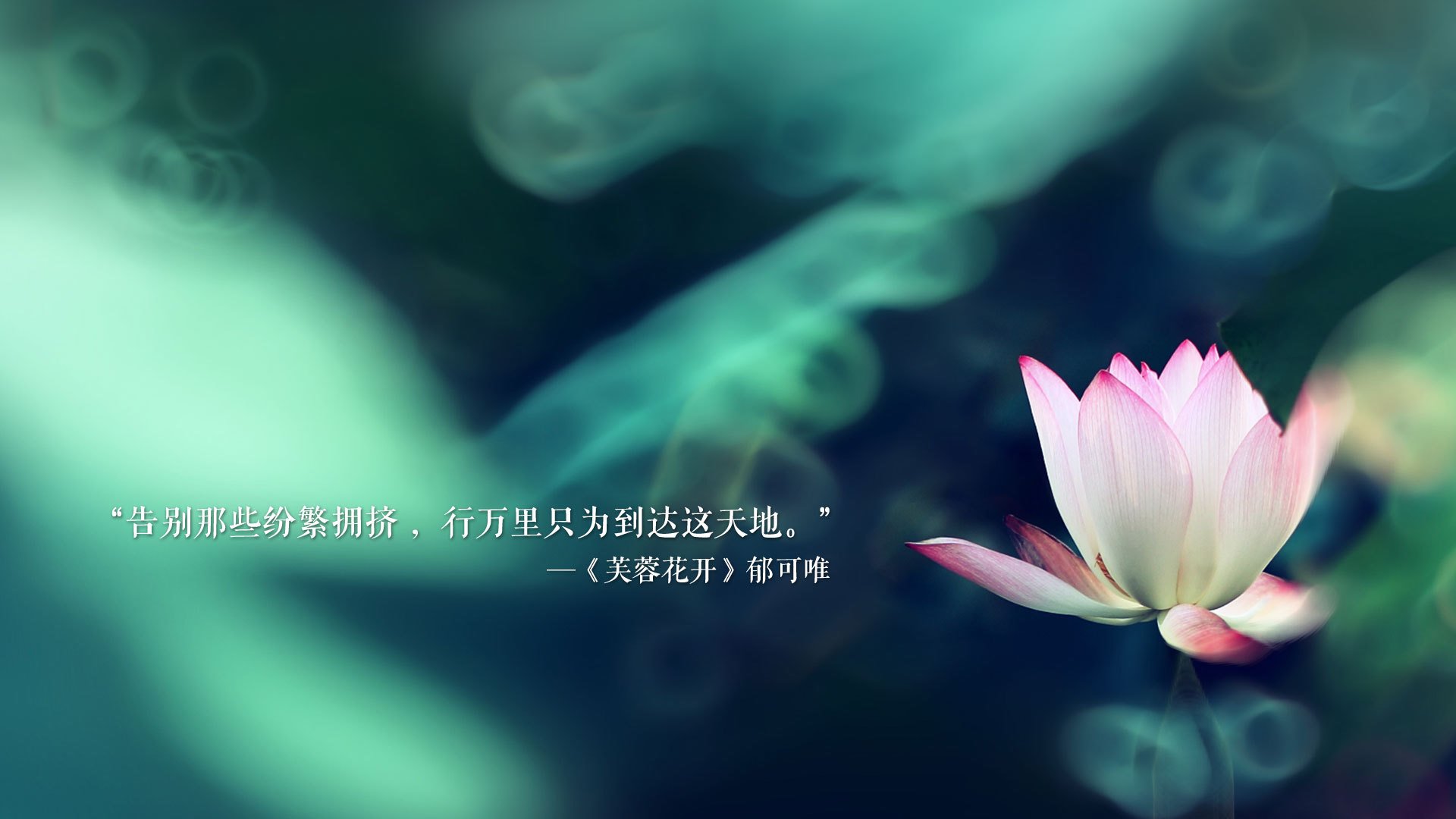 湖人队防守体系日益完善，湖人队防守悍将