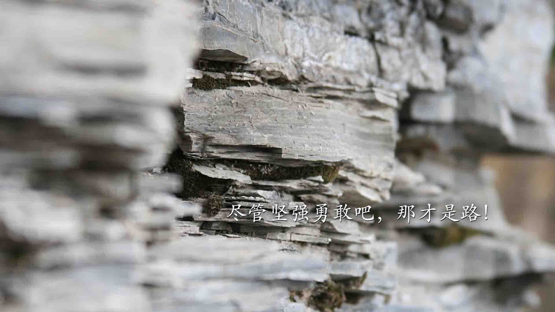 全国青少年铁人三项在上海录得佳绩，铁人三项青少年组的具体年龄