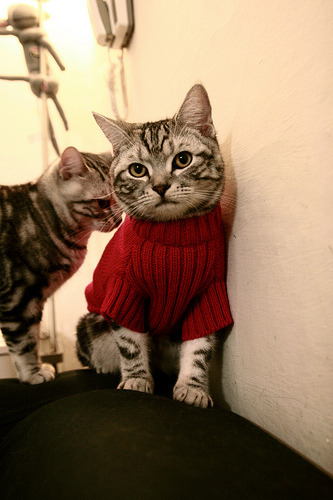 AC米兰依靠节奏变化掌控控球权，ac米兰强不强