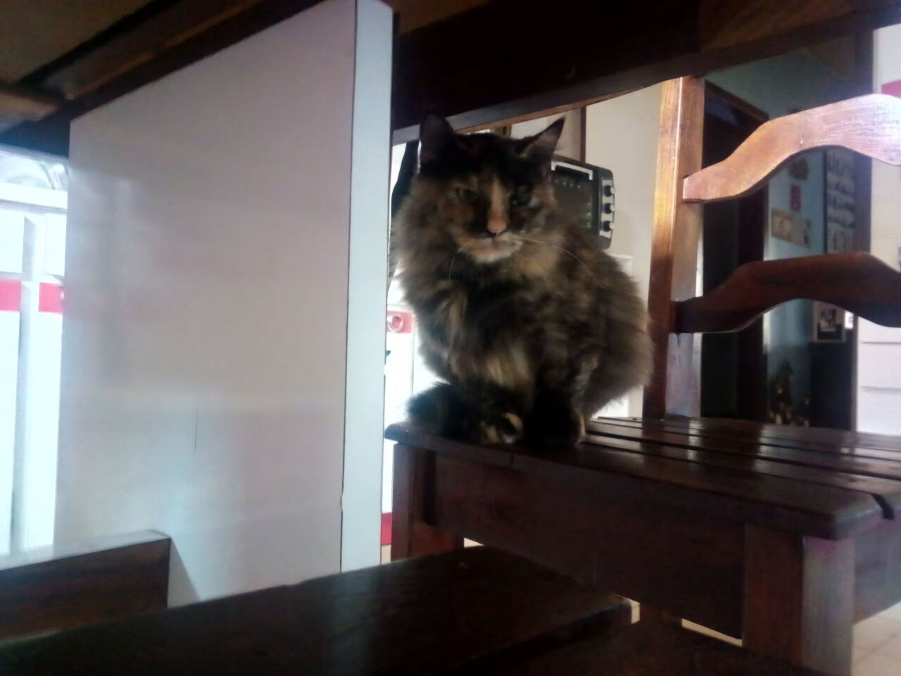 爱游戏综合娱乐-“沙滩手球：力量与技巧的完美结合”