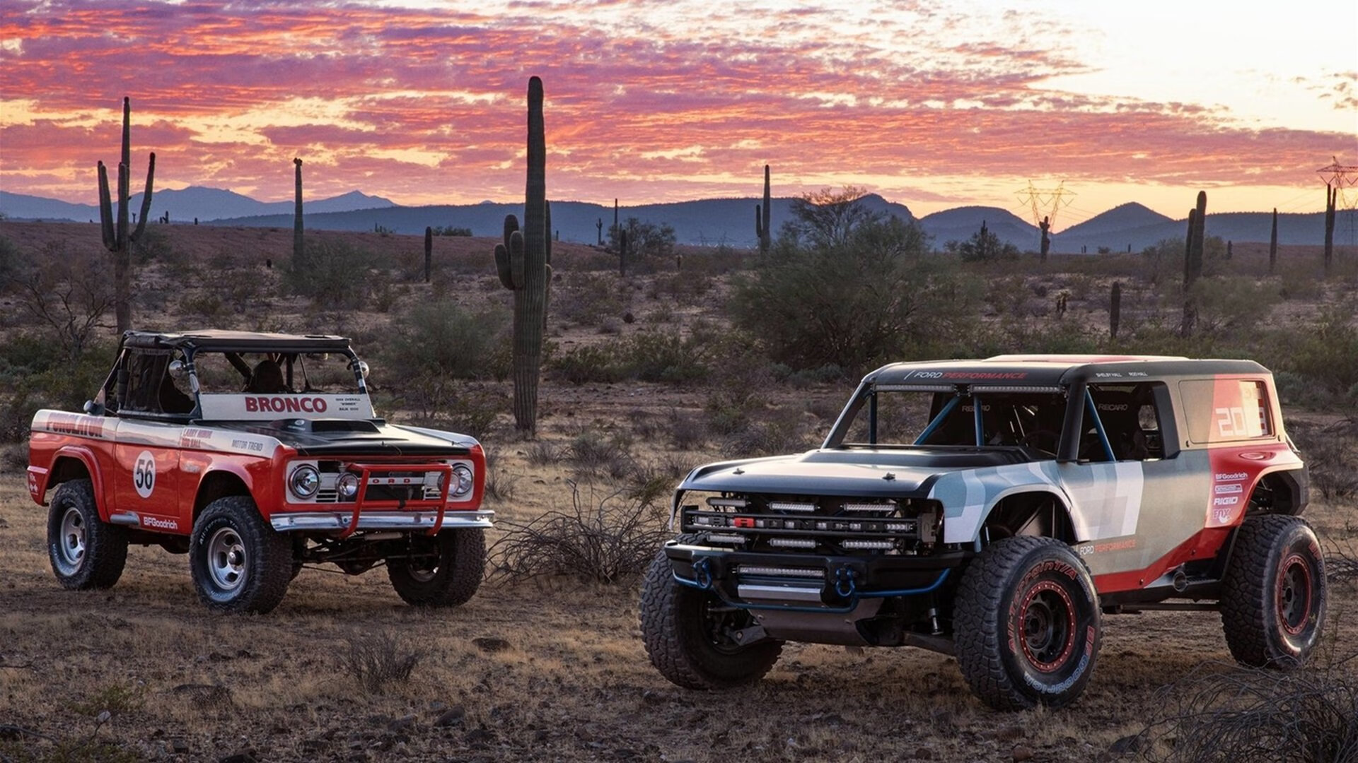 多特蒙德年轻球员持续展现成长潜力,多特蒙德青年队球星