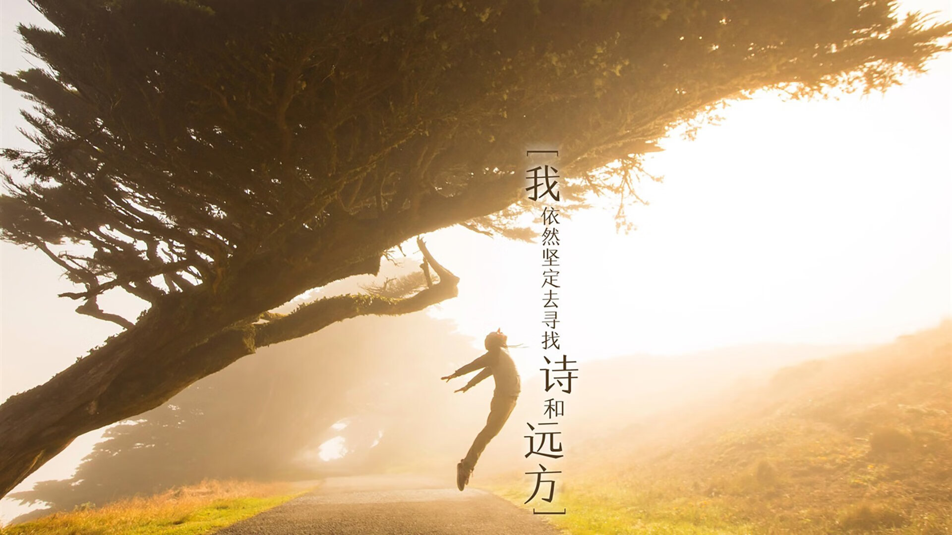 爱游戏在线登录入口-步行者主力表现稳定维持竞争力，步行者主力球员