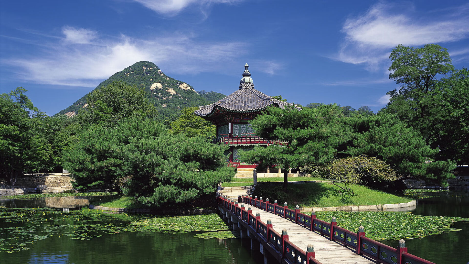 爱游戏登录入口-皮特·卡普尔迅猛的反应速度，成为袋鼠队进攻的加速器，皮特卡瑞尔