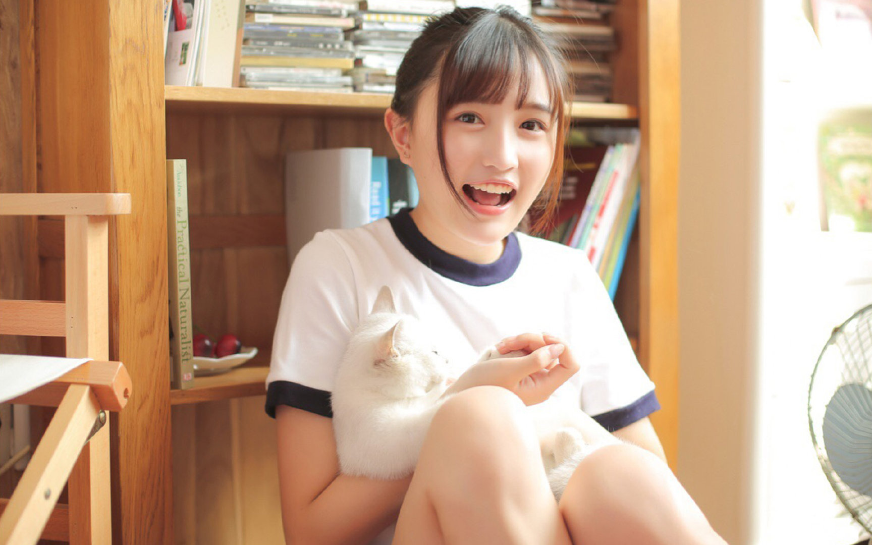 美洲杯激情之夜:英雄辈出,传奇再现,美洲杯精彩集锦